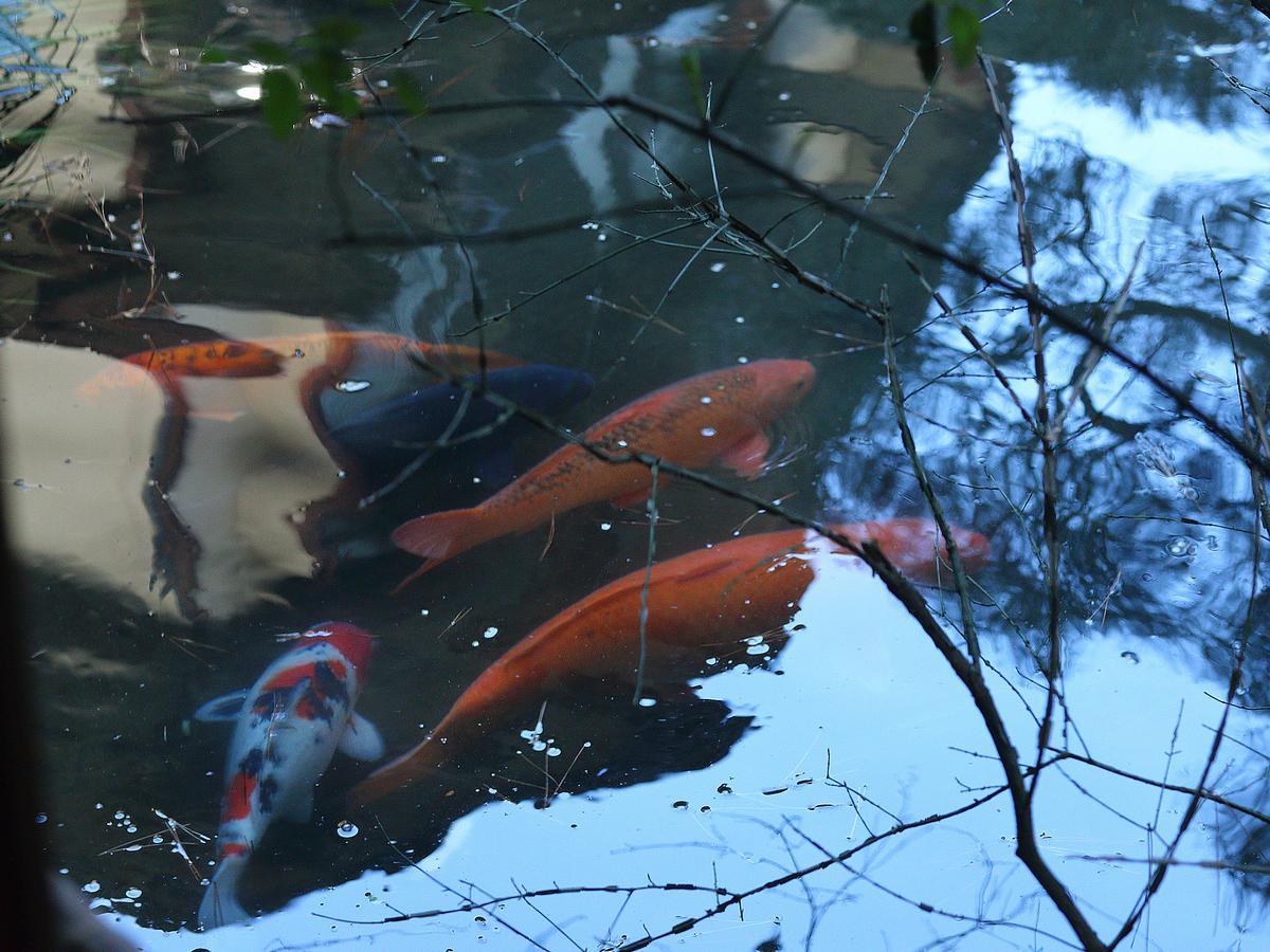 Nanzenji Sando Kikusui Kyoto Bagian luar foto