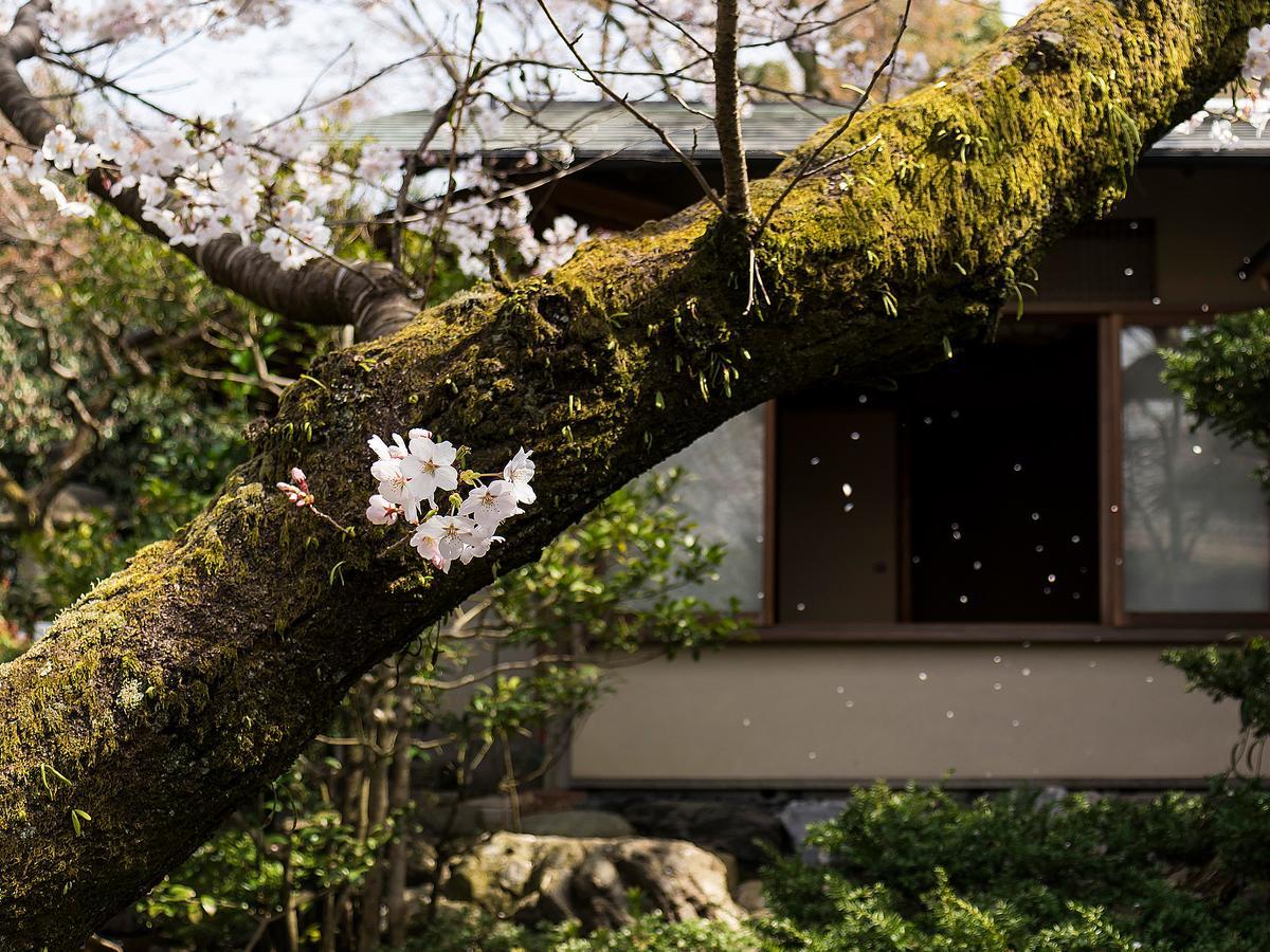 Nanzenji Sando Kikusui Kyoto Bagian luar foto