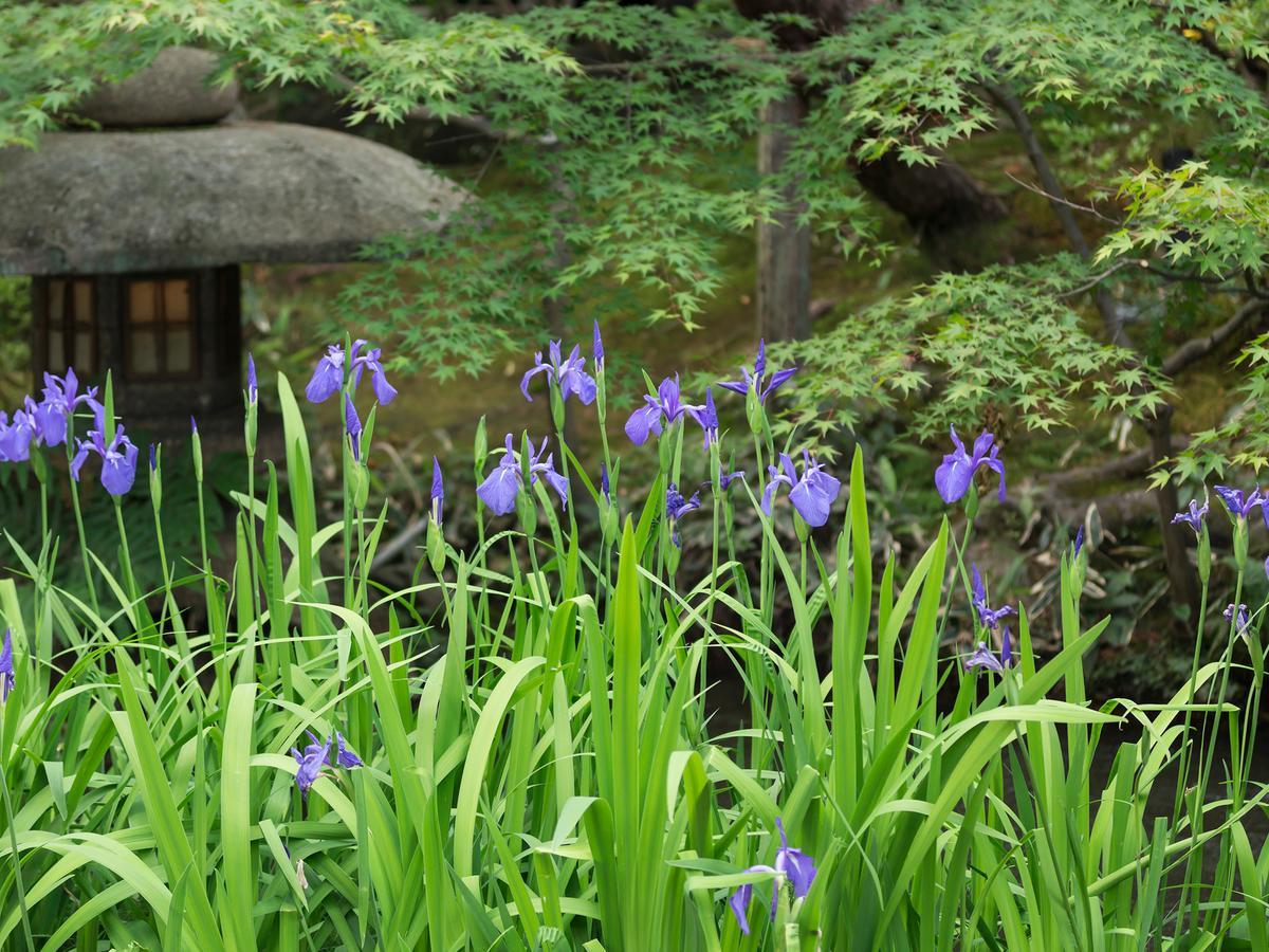 Nanzenji Sando Kikusui Kyoto Bagian luar foto
